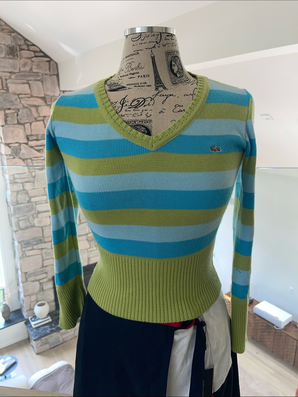 Lacoste Striped V-Neck Sweater in Blue and Green